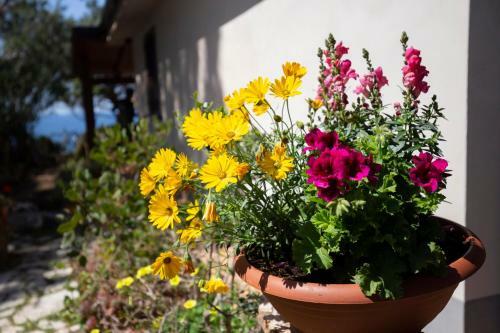 Apartamento Villa Dei Pini