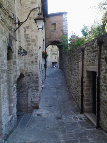 Apartamento Galeotti 18