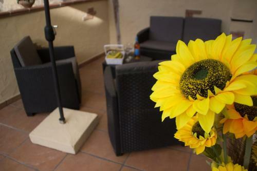 Hostal Domos La Corte Ghibellina