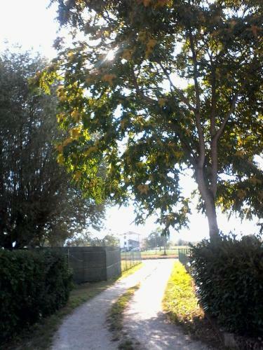 Agroturismo Casa Vincia