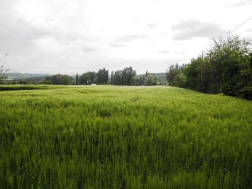 Agroturismo Casa Vincia