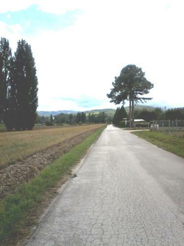 Agroturismo Casa Vincia