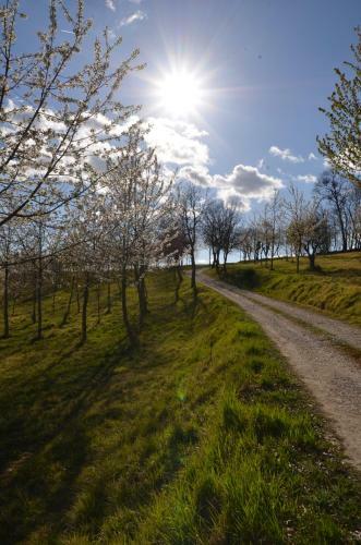 Agroturismo Casale Rancaglia