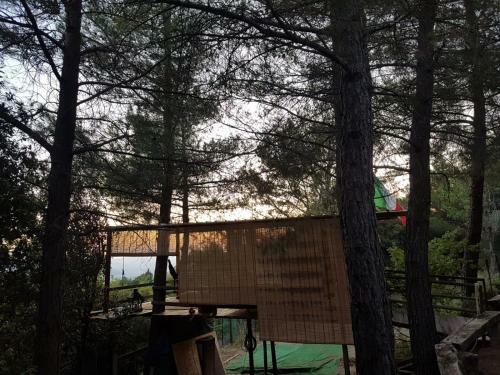 Nido Sull'albero Nido Sull?albero - Only For Lovers Experince -