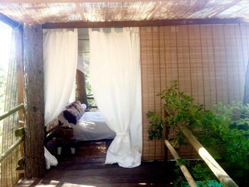 Nido Sull'albero Nido Sull?albero - Only For Lovers Experince -