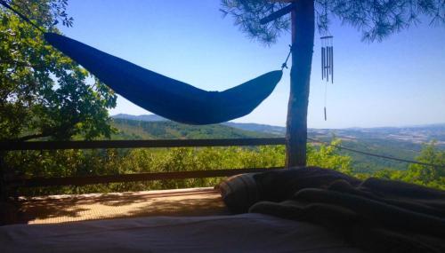 Nido Sull'albero Nido Sull?albero - Only For Lovers Experince -