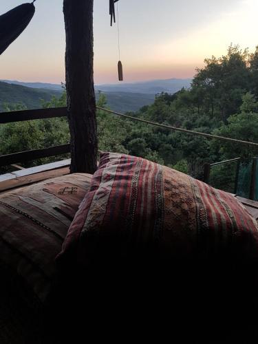 Nido Sull'albero Nido Sull?albero - Only For Lovers Experince -