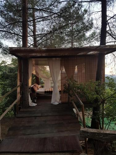 Nido Sull'albero Nido Sull?albero - Only For Lovers Experince -