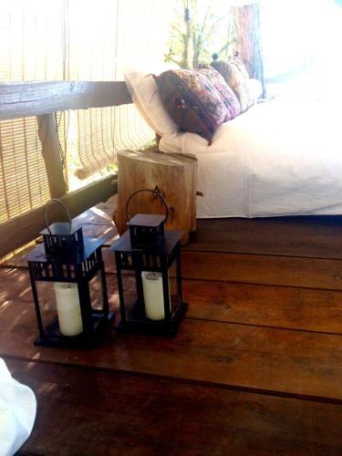 Nido Sull'albero Nido Sull?albero - Only For Lovers Experince -