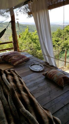 Nido Sull'albero Nido Sull?albero - Only For Lovers Experince -