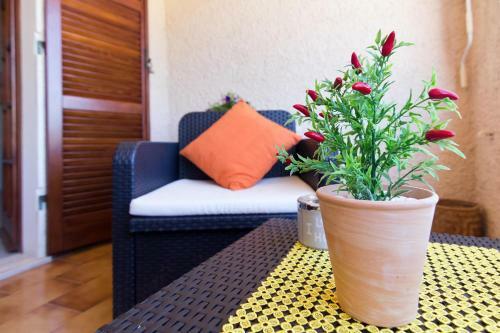 Apartamento Casa Belvedere