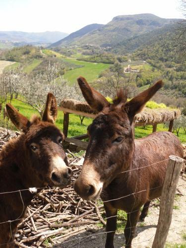 Apartamento B&B I Montanari