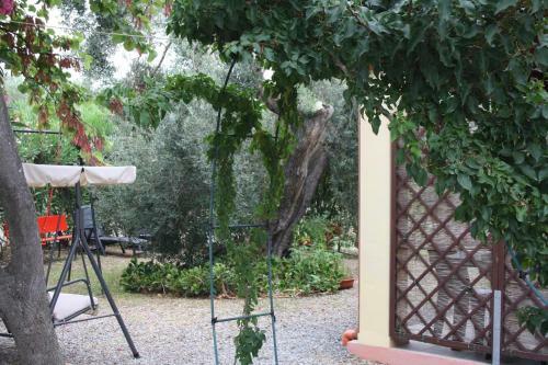 Apartamento Casa L Antico Ulivo