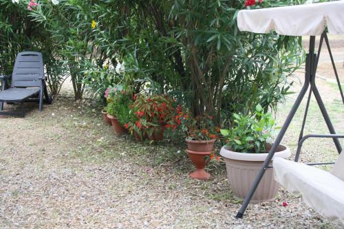 Apartamento Casa L Antico Ulivo