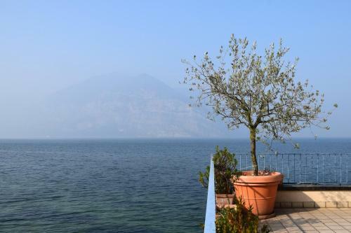 Apartamento In Suite Lake 2