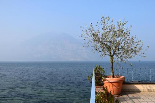 Apartamento In Suite Lake 1