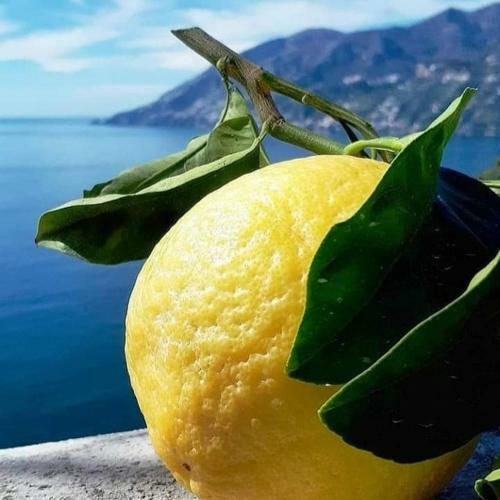 Apartamento Sicilia Bedda 1