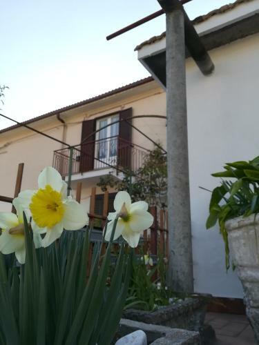 Apartamento In Vacanza A Itri - Casa Ileana
