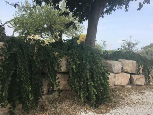 Apartamento Porta Dei Mari