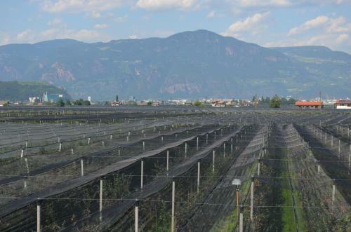 Auelehof Apartments