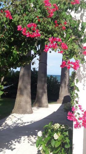 Bed & Breakfast La Casa Di Nina