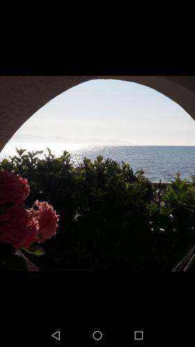 Bed & Breakfast La Casa Di Nina
