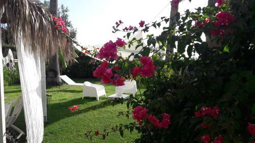 Bed & Breakfast La Casa Di Nina