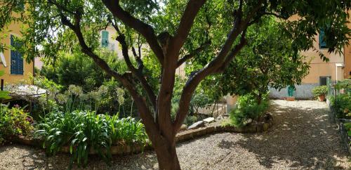 Apartamento Cabot House