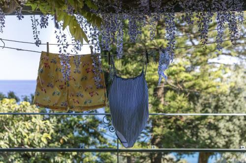 Apartamento Casa Araucaria