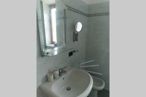 Daisy's - Citra 008031-lt-0879