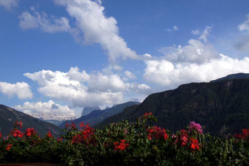 Agroturismo Zehentnerhof