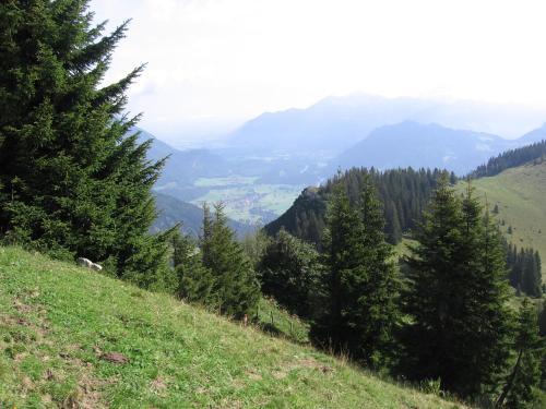 Apartamento Ferienwohnung Sonnenwiese