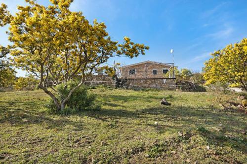 Apartamento Le Mimose Bilo4 Bis