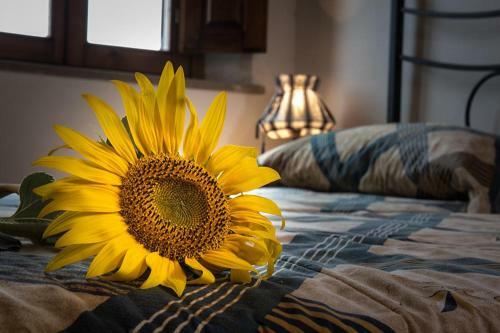 Apartamento Sweet Home, La Casa Del Piccolo Borgo