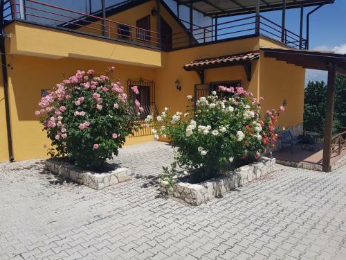 Villa Con Piscina Panoramica Uso Esclusivo Lapio