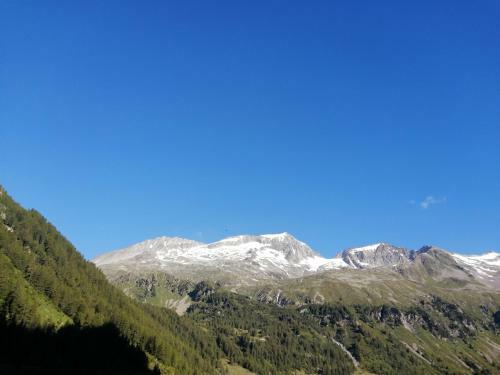 Apartamento Appartement Sonneck