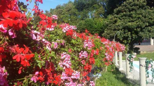 Apartamento Residence Il Vigneto