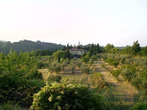 Podere Il Cardellino