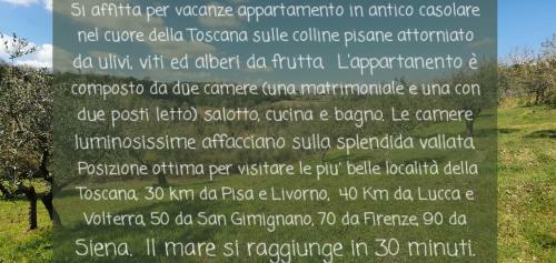 Podere Il Cardellino