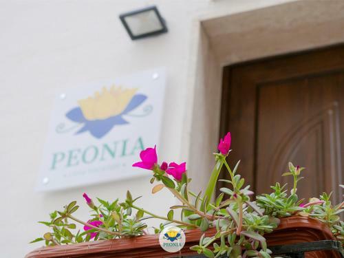 Apartamento Peonia - Appartamento