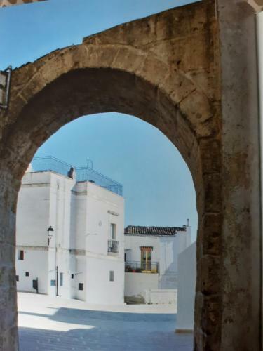 Bed & Breakfast Il Falco Grillaio