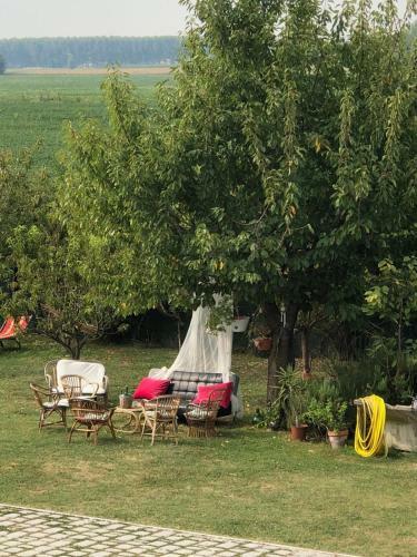 Bed & Breakfast Camera Con Vista