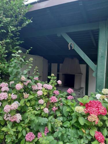 Apartamento Il Torrente Dell'envers