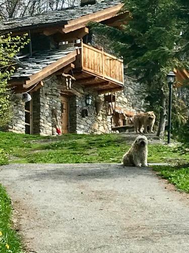 Bed & Breakfast Chalet La Beyllard