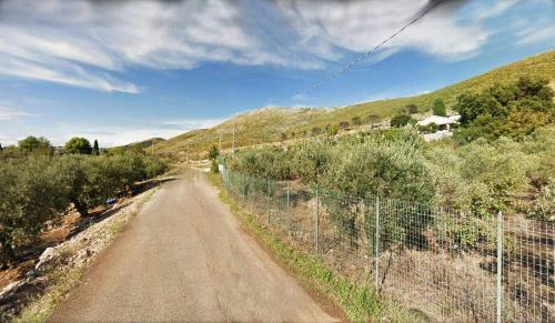 Villa Caterina Un Oasi Di Pace A 10 Minuti Dal Mare
