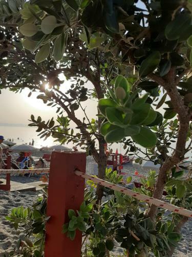 Piccola Casa Vancanza Mare Blu