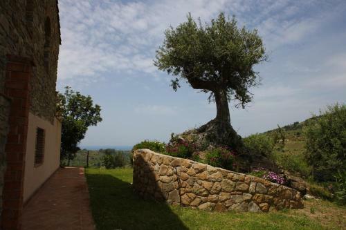 Agroturismo Poggio Pozzetti