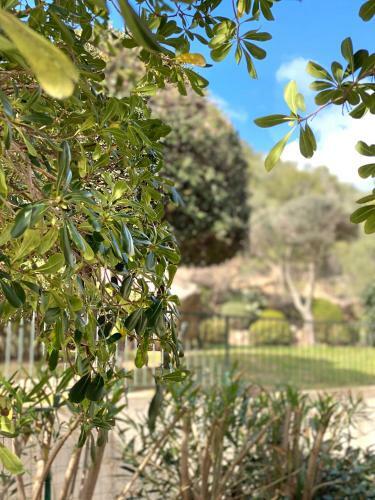 Coast Apartments - Garden & Design