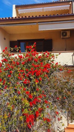 Apartamento Appartamento Oltremare