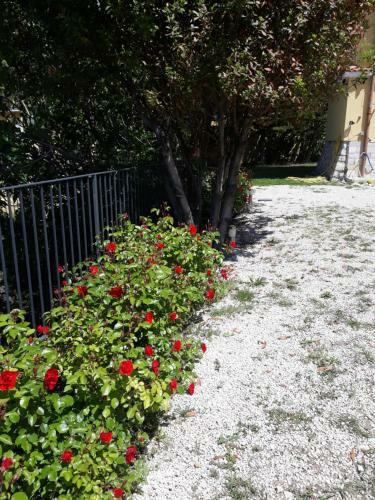 Hostal Villa Immersa Nel Verde